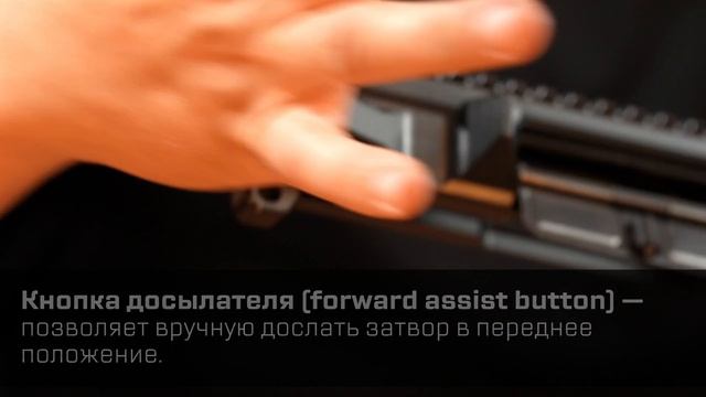 AR-платформа для начинающих: разбираемся в названиях смотреть онлайн