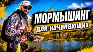МОРМЫШИНГ. Как ловить? Для начинающих.