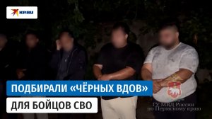 В Пермском крае задержали мужчин, которые подбирали «чёрных вдов» для бойцов СВО