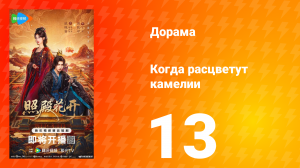 Когда расцветут камелии 13 серия