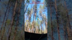 Грабли профи. Сбор черники. www.sbor-yagod.ru
https://vk.com/club223023506