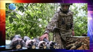 Зомби под кайфом. Наемников ВСУ из Колумбии порубили на фарш под Харьковом