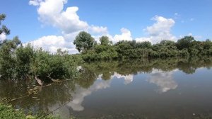 УКЛЕЙКА клюёт в заброс, РЫБАЛКА в устье реки Уньга.  27.07.2026 г.