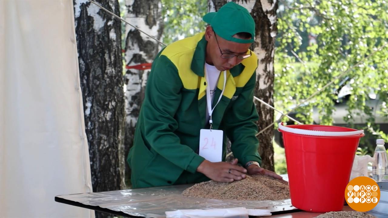 "Лучший по профессии": поздравляем профессионалов! Доброе утро. Фрагмент выпуска от 27.07.2026 смотреть онлайн