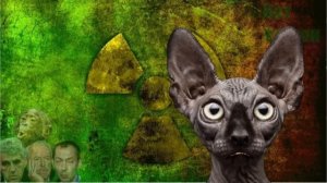 Сводки с фронтов с Котом Костяном (You Tube - 24)
