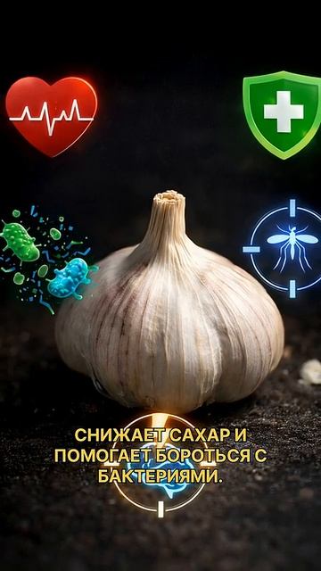 Секрет чеснока смотреть онлайн