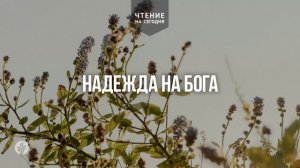 НАДЕЖДА НА БОГА  | АУДИО |	3	  августа 2026