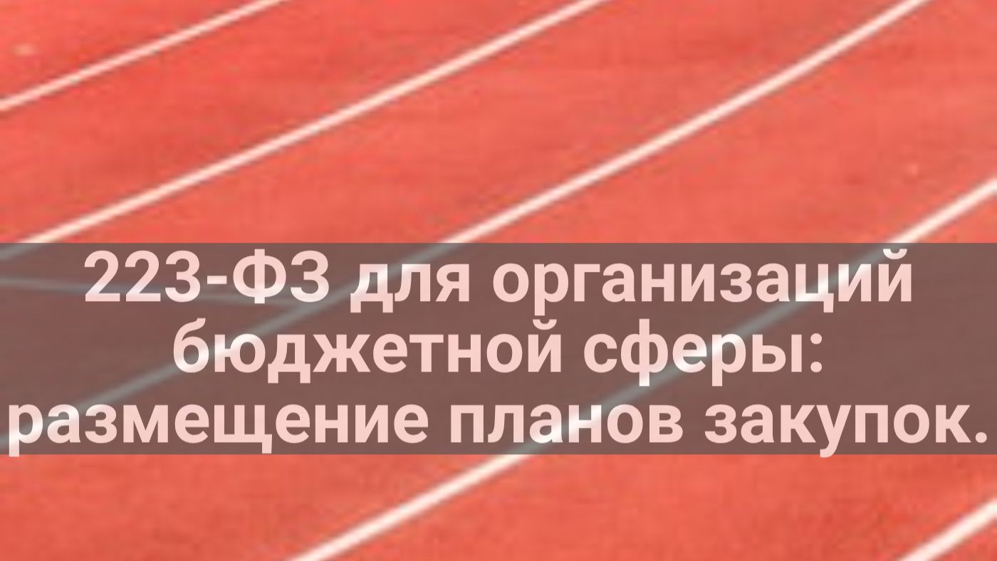 223-ФЗ для госзаказчиков - размещение планов закупки