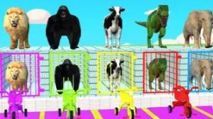 Игра с длинной горкой: динозавр, лев, корова, бегемот, горилла. 3D‑игра с забавными животными