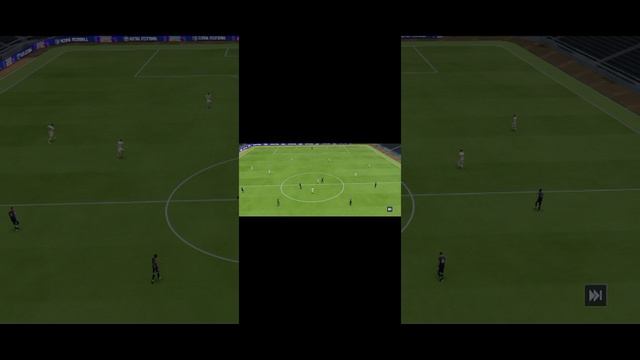 5613.mp4