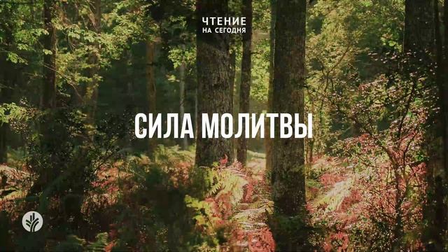 СИЛА МОЛИТВЫ  | АУДИО |	26	  августа 2026