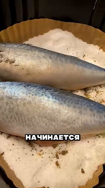 СКУМБРИЯ СОЛЬ смотреть онлайн