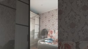 1000004048.mp4