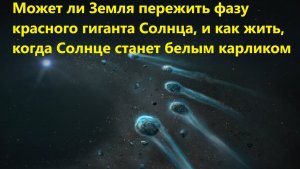 Может ли Земля пережить фазу красного гиганта Солнца, и как жить, когда Солнце станет белым карликом