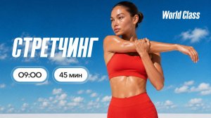 СТРЕТЧИНГ с Анастасией Филипьевой | 27 июля 2026 | Онлайн-тренировки World Class