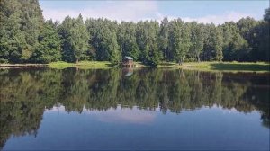 Утренний обзор с нижнего водоёма. Клёвое место, Лосиный остров.