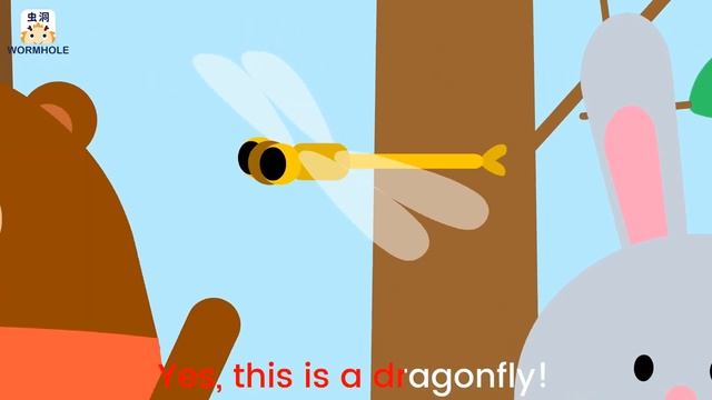I Love Insects! _ Insect Song For Kids _ Wormhole English