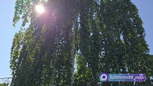 В гостях у Нептуна и Морской царицы: в Братске День моря отметили больше двух тысяч человек