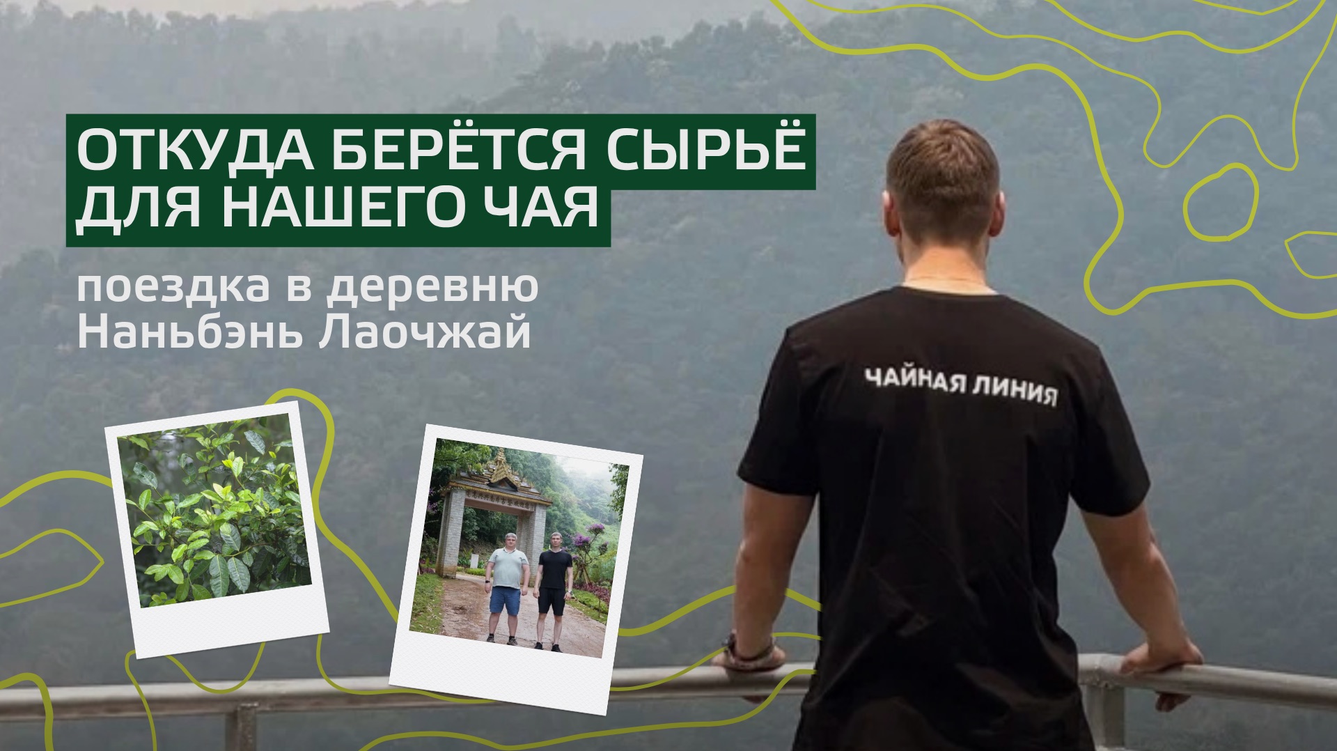 Джунгли, мачете и деревья, которым сотня лет 🍵