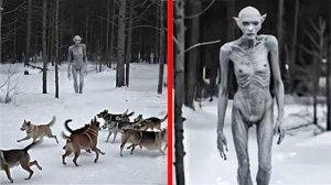 Это Произошло Вчера! Нечто Необъяснимое Началось по Всему Миру