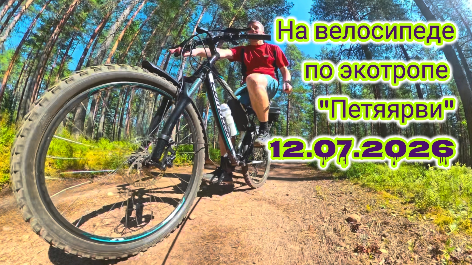 На велосипеде по экотропе Петяярви, озеро Лебяжье и Берестовое 12.07.2026