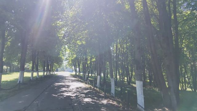 Влог спасаем растения мемориал в Яхроме парк Зарядье