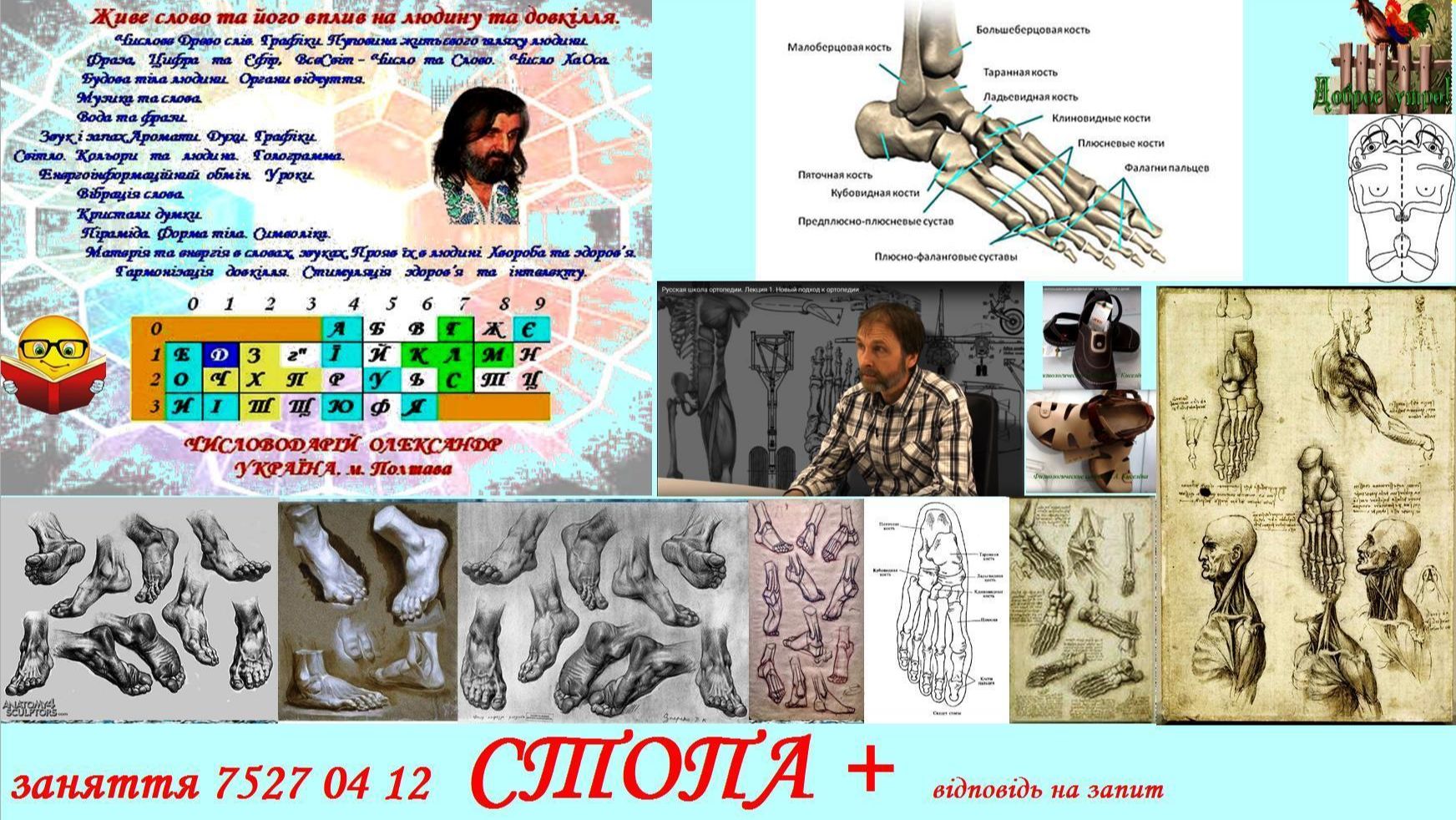 заняття 7527 04 12  СТОПА + відповідь на запит