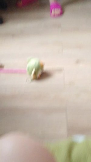 играю в эвейд