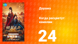Когда расцветут камелии 24 серия
