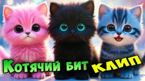 Песня КОТЯЧИЙ БИТ, СУПЕР КОТ, АБИ И АЛЬБО 🐱 Музыкальный Клип 🐱