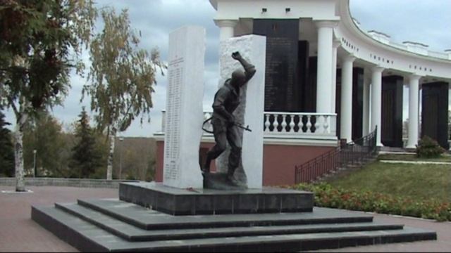 САРАНСК -1. Куст рябины . Осень 2007- январь 2008. #20 смотреть онлайн
