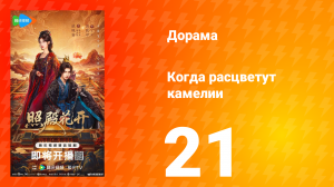 Когда расцветут камелии 21 серия