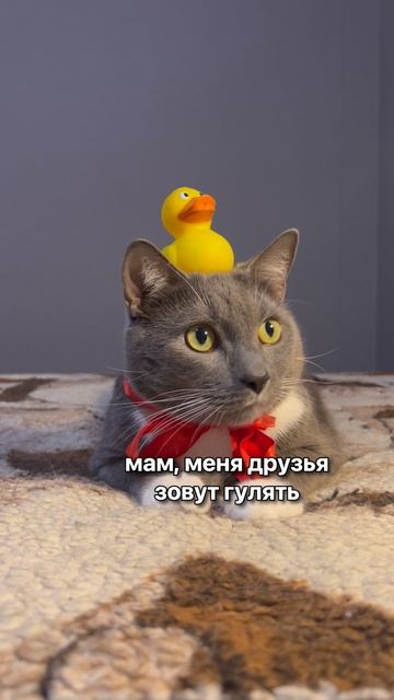 КОГДА СЛОМАЛ ЛОГИКУ ВЗРОСЛЫХ