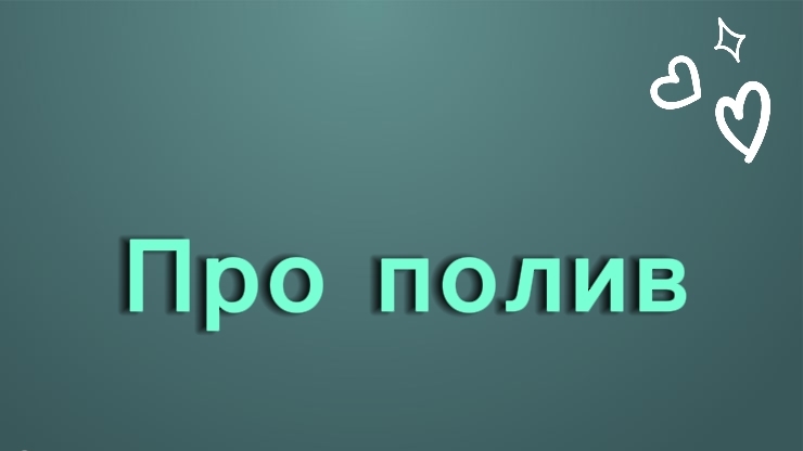 Как я поливаю свои суккуленты💚