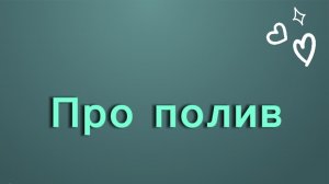 Как я поливаю свои суккуленты💚