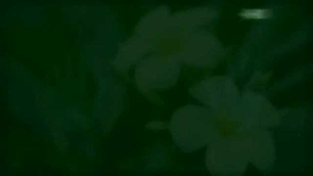 ИЗБАВЛЕНИЕ ОТ СТРЕССА*Мощная практика как помочь себе пережить тяжелый день убрать тяжёлые мысли смотреть онлайн