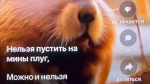 «Можно и нельзя» нельзя паниковать на льдине