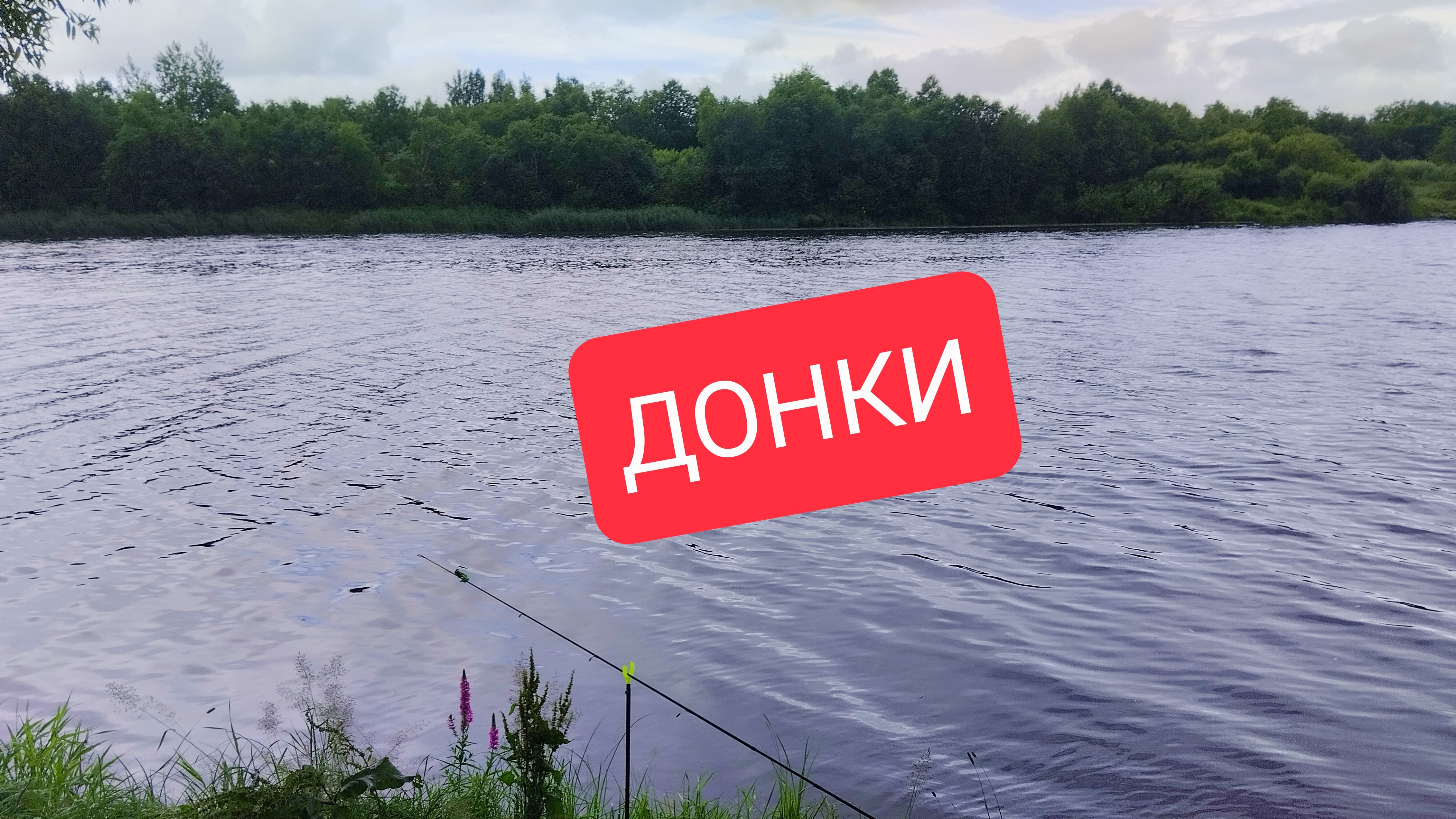 Дождь рыбалке не помеха #рыбалка #донки