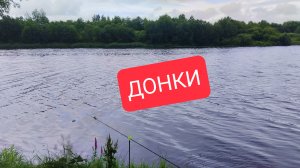 Дождь рыбалке не помеха #рыбалка #донки