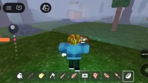 играю в 99 ночей в лесу чеееееек