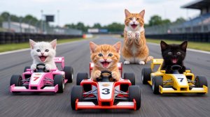 Мама-кошка подстригает шерсть на ферме и делает тигровую шапку для котят дома🐾🎩🐯
