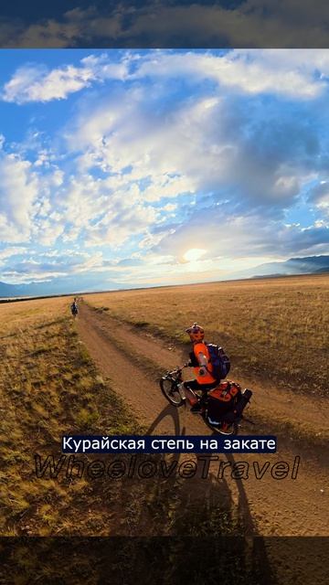 Курайская степь на закате #Алтай #велосипед