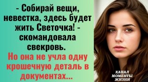 Истории из жизни/Собирай вещи, здесь будет жить Света- заявила свекровь/Аудиорассказы жизненные