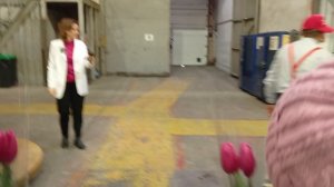 1000222049.mp4