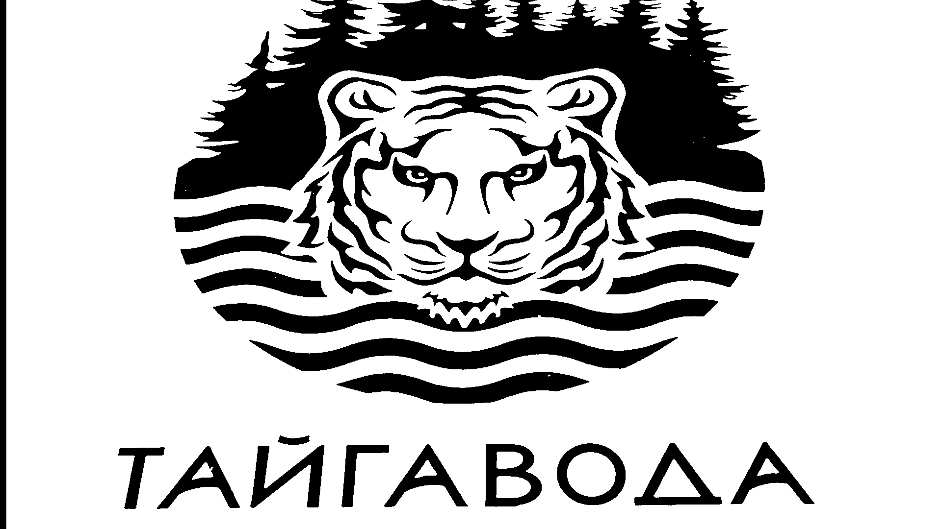 Тайгавода, подарки, распаковка, бритьё, бритье