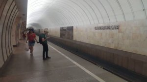 Станция метро Савёловская, пассажиры, поезд Москва Фрагмент 5