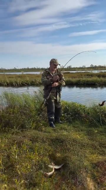 Kazan! кому нужна рыба,клёв 🐟  пипец!