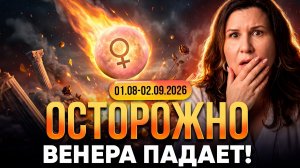 Венера в Деве 2026: Транзит в падении. Что ждёт каждый знак зодиака?