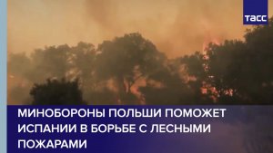 Минобороны Польши поможет Испании в борьбе с лесными пожарами