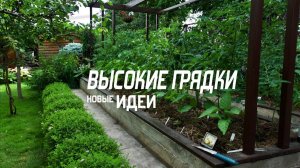 ГРЯДКИ, КОТОРЫЕ ВСЕГДА ДАЮТ УРОЖАЙ